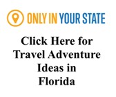 Great Trip Ideas for Florida